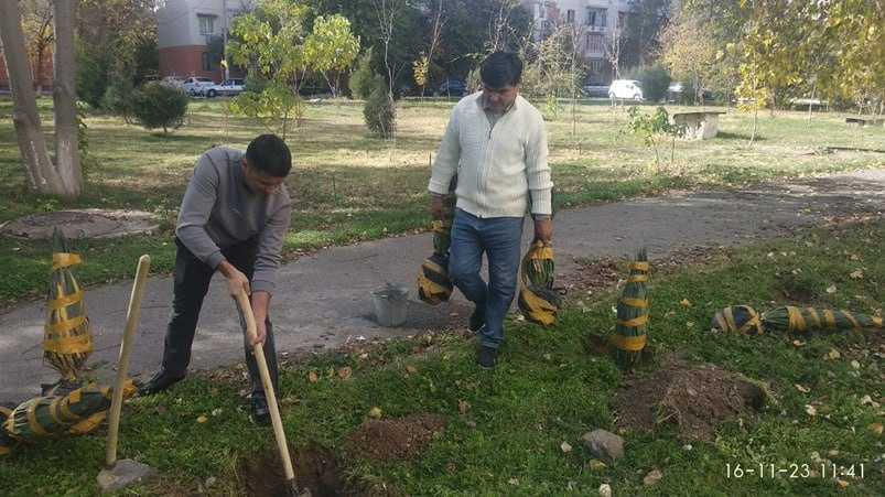 «Yashil makon» umummilliy loyihasini amalga oshirishda Davlat va huquq instituti Yosh olimlar kengashi a’zolari faol ishtirok etmoqda