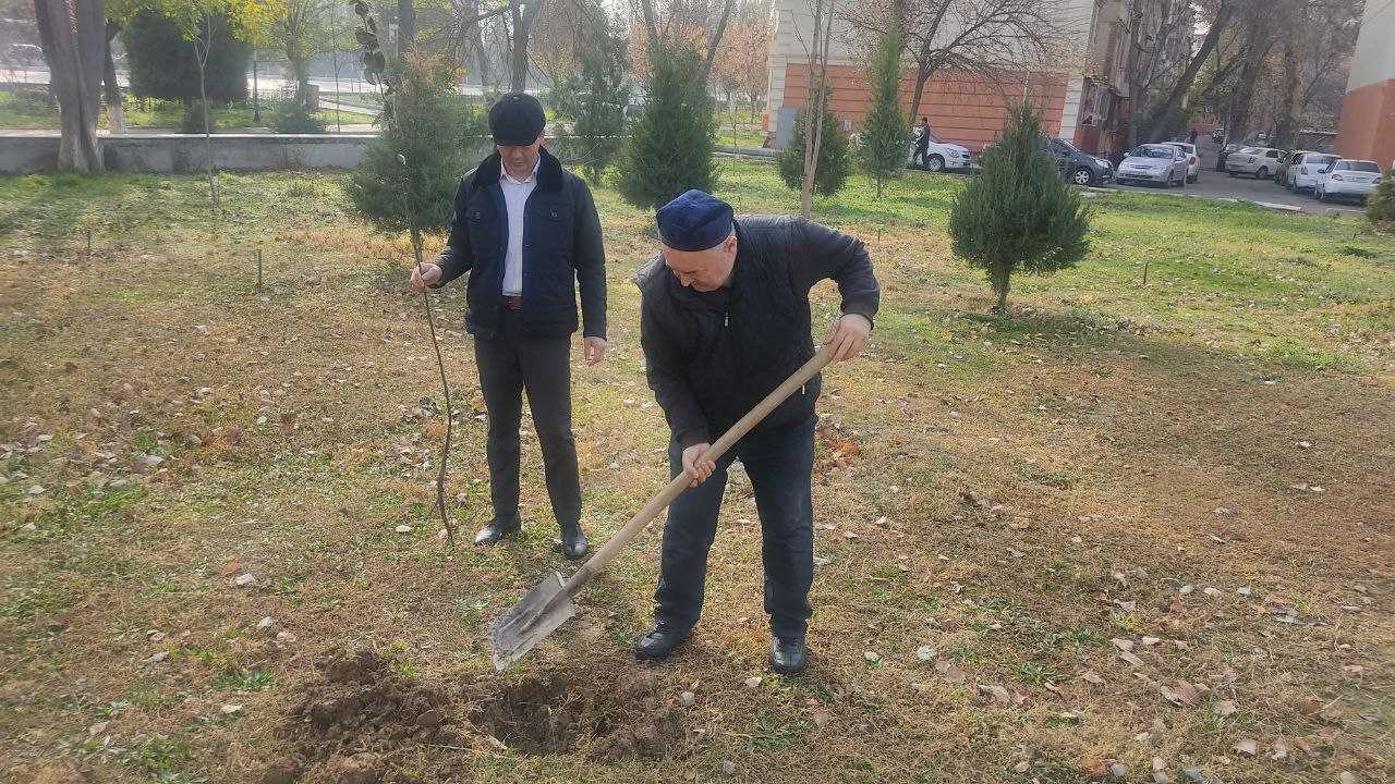 O‘zbekiston Respublikasi Fanlar akademiyasi Davlat va huquq institutida “Yashil Makon” milliy loyihasining amalga oshirilishi to‘g‘risidagi