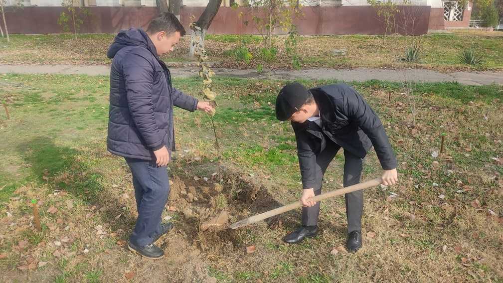 “Yashil makon” umummilliy loyihasi doirasida ishlar davom ettirilmoqda
