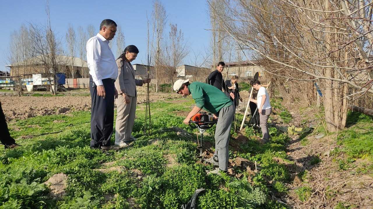 Navro‘z bahona “Yashil makon” loyihasi